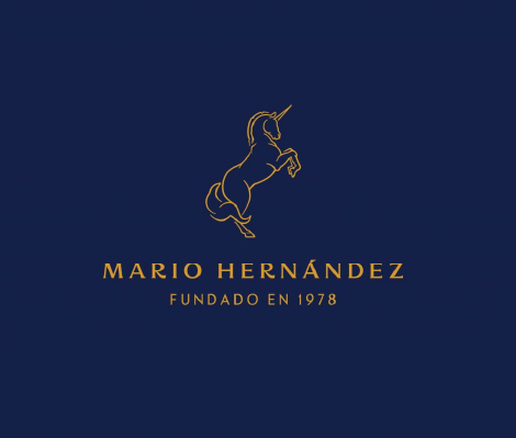 MARIO HERNANDEZ